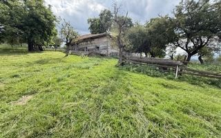 Teren intravilan 3.000 mp cu casă tradițională – Bran, sat Poarta - Poză 5