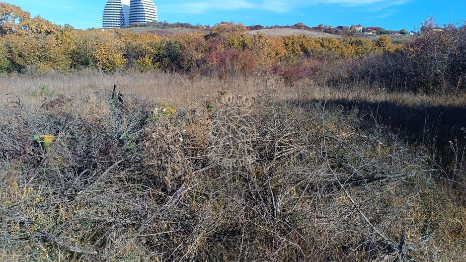 Teren intravilan 4500mp-oportunitate investitii-panoramic-Zona Wings - Poză 2