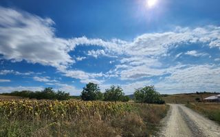 De vanzare teren 10.651mp intravilan, parcelabil, Oarda de Sus - Poză 6