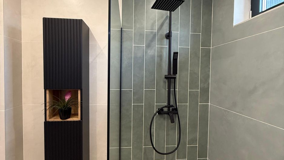 Vila superba 5 camere Iancu Nicolae Baneasa Gradina Zoologica - Poză 24