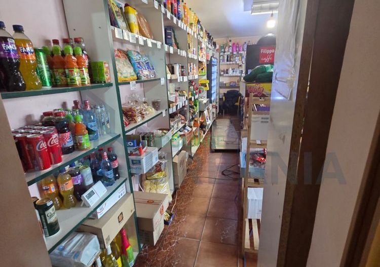 DE VAZARE - Magazin+Bar+Terasa la 3 km de Iași - Poză 3