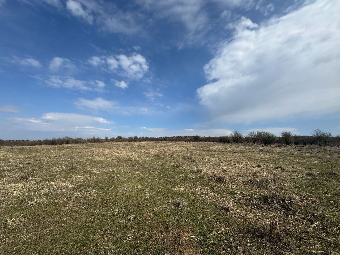 Teren 10262 mp extravilan Episcopia Oradea - Poză 1