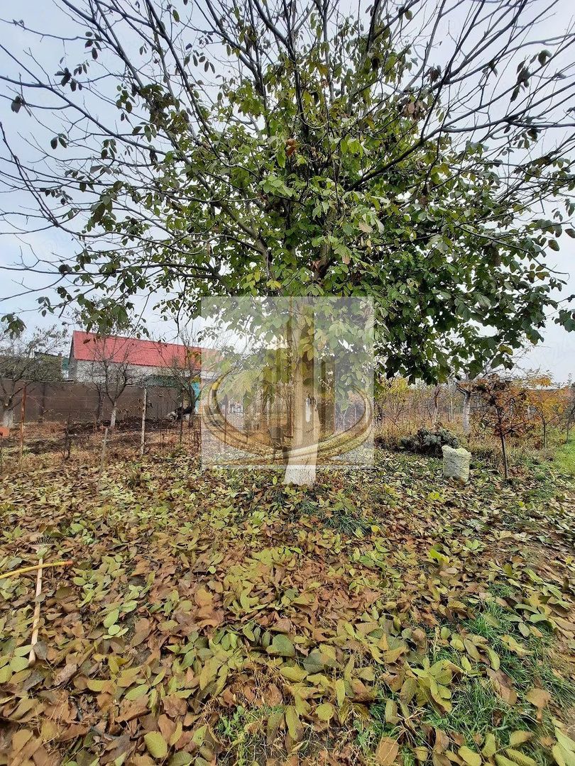 Casă individuală Plopi, 75 mp, teren 1.365 mp, 2 corpuri - Poză 4