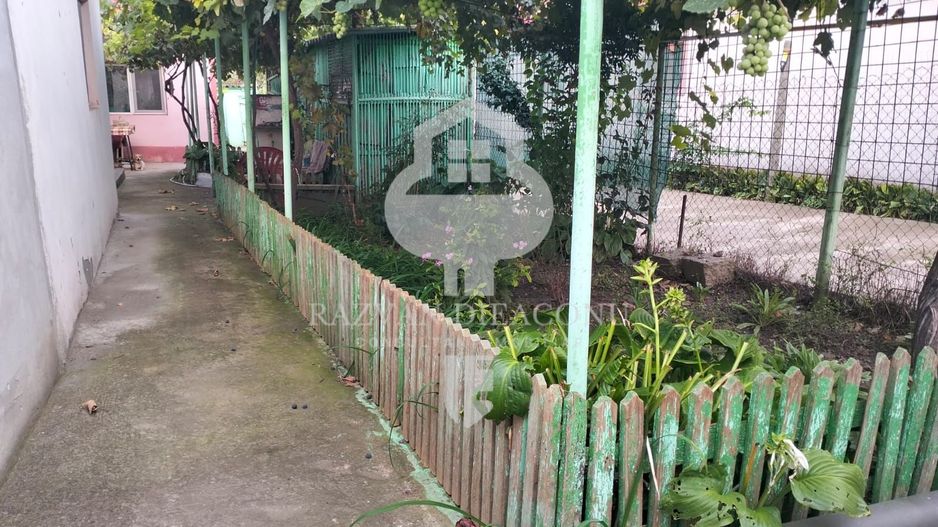 Casa de vanzare Lumina - Poză 4