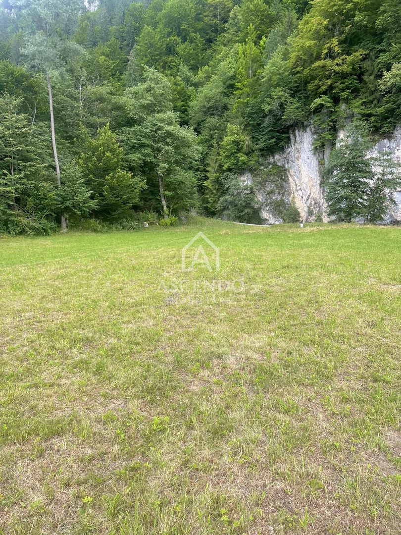 Teren pentru investiție turistică în Dâmbovicioara – Baranga | 4.500 mp | Front ~102 ml - Poză 12