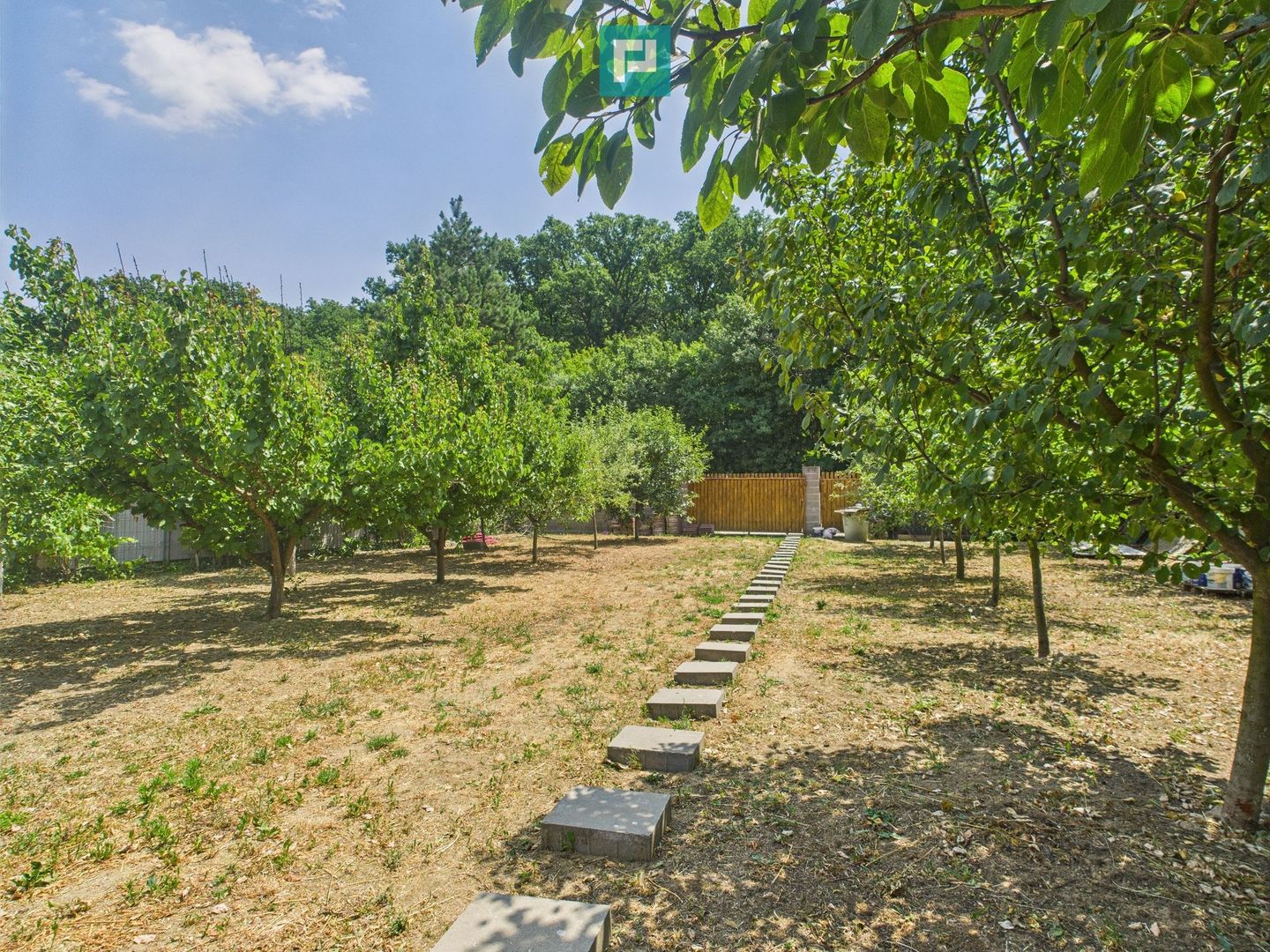 Teren edificabil 1106 mp – Dumbrăvița - Poză 1