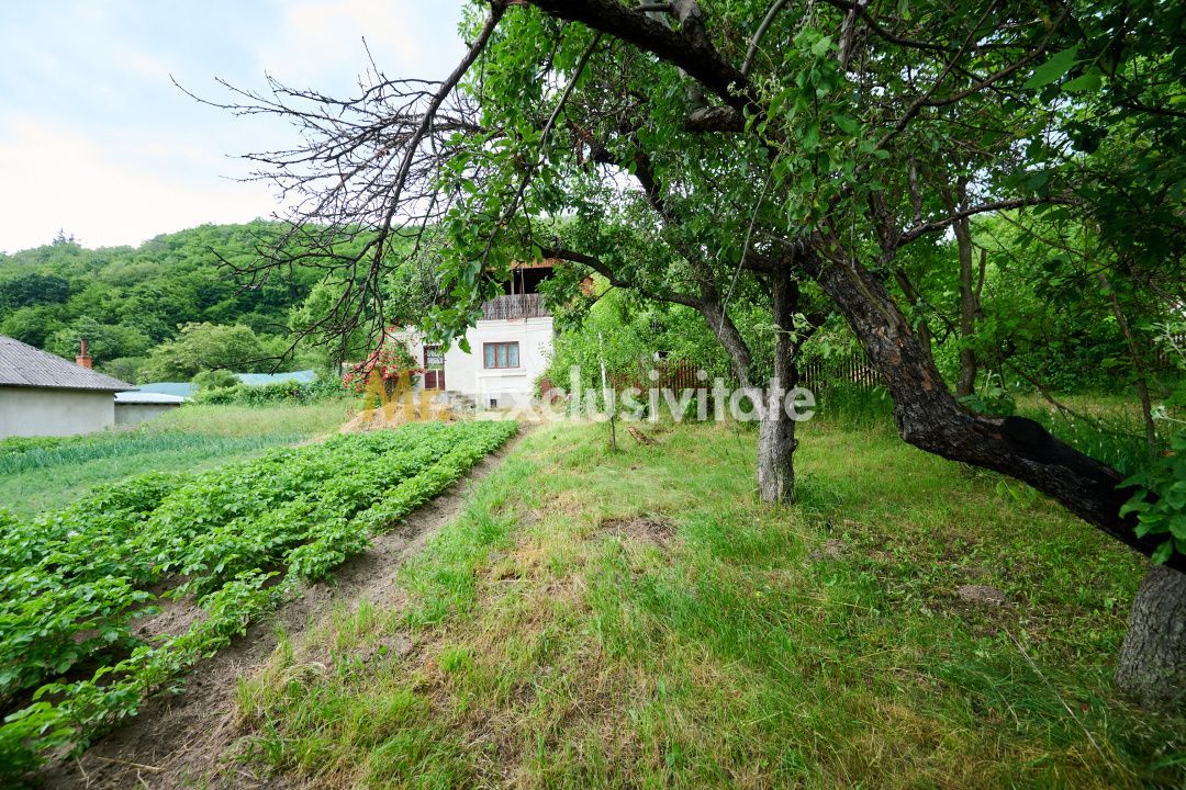 Casa cu teren generos - 4696 mp Apa Sarata - Campulung !! - Poză 8