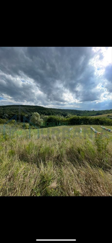 De vanzare teren in comuna schitu duca cu iaz de peste si salcami - Poză 3