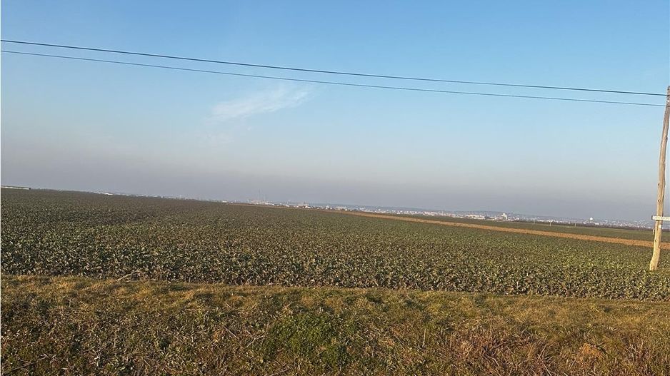 Teren Industrial Oradea spre Livada - Poză 2