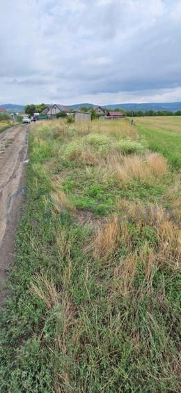 Teren intravilan de vânzare în Holboca – Preț negociabil - Poză 1