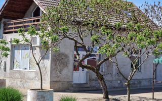 Spațiu comercial | DN69  | comuna Pesac | 50 km de Timișoara - Poză 3