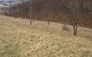 Teren intravilan Rosia, 12 000 mp, cu proiect aprobat. Comision 0. - Poză 11