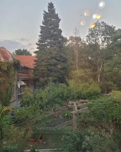 De vanzare Apartament 3 camere în vilă, Kiseleff, Arcul de Triumf - Poză 2