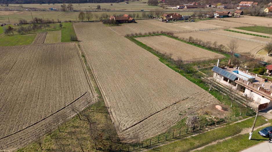 Loc de casă în Odvoș - Conop 3000mp - Poză 2