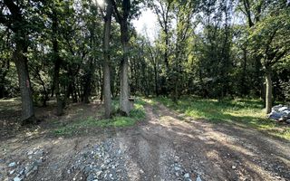 Teren intravilan – 1.450 mp | Jucu de Sus, marginea pădurii - Poză 4