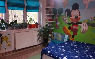 2 decomandate Lapus Arges, Bulevard Decebal - Poză 4