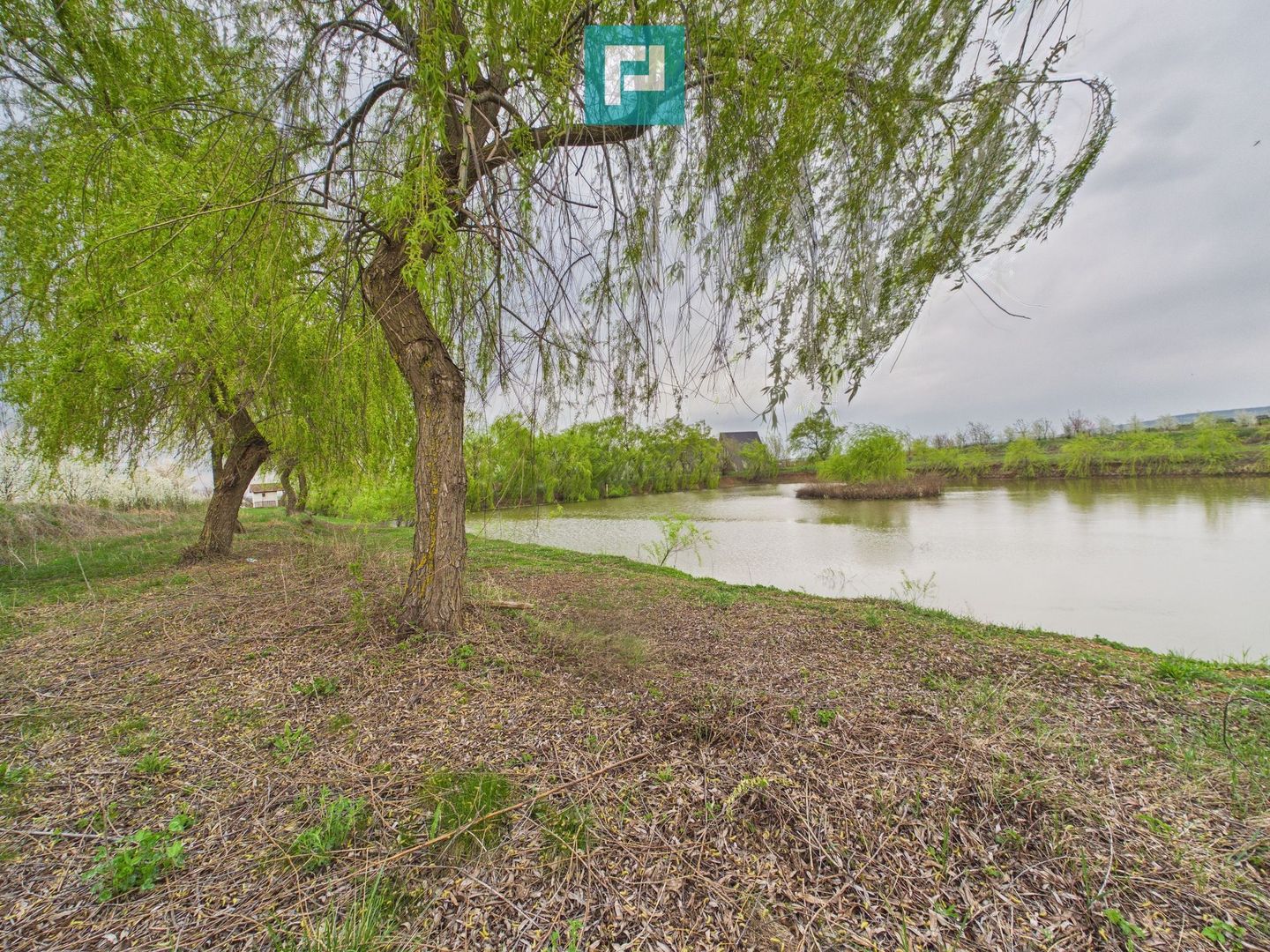 Teren 1 ha cu baltă populată – Alioș (Mașloc) - Poză 9