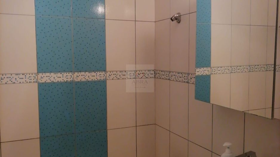 Apartament 2 camere Herastrau - Poză 9