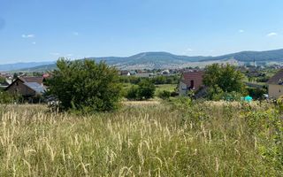 Teren intravilan 1300 mp-parcelabil-Viile cu Pomi-Unirea-Exclusiv - Poză 2