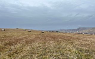 Oportunitate de investitie | teren pentru case - Poză 3