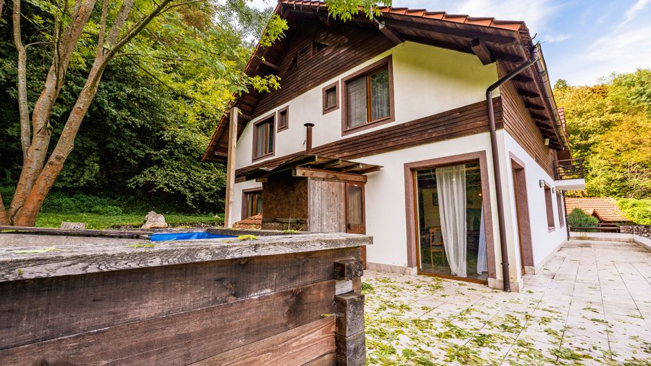 Domeniu în satul Căprioara - Poză 2