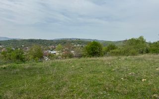 TEREN INTRAVILAN, 7472 MP, VALEA MARE PRAVAT, ARGES - Poză 16