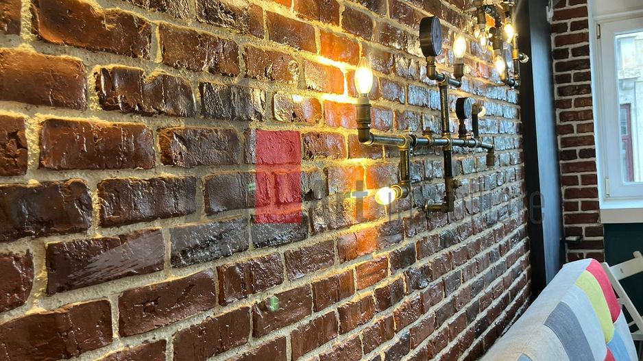 STUDIO - MOSILOR CU BULEVARD CAROL - Poză 15