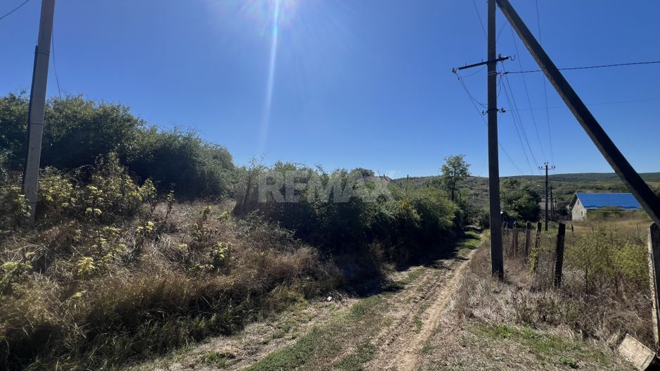 Teren pentru construcții 33 Ari în Molești, Ialoveni - Poză 3