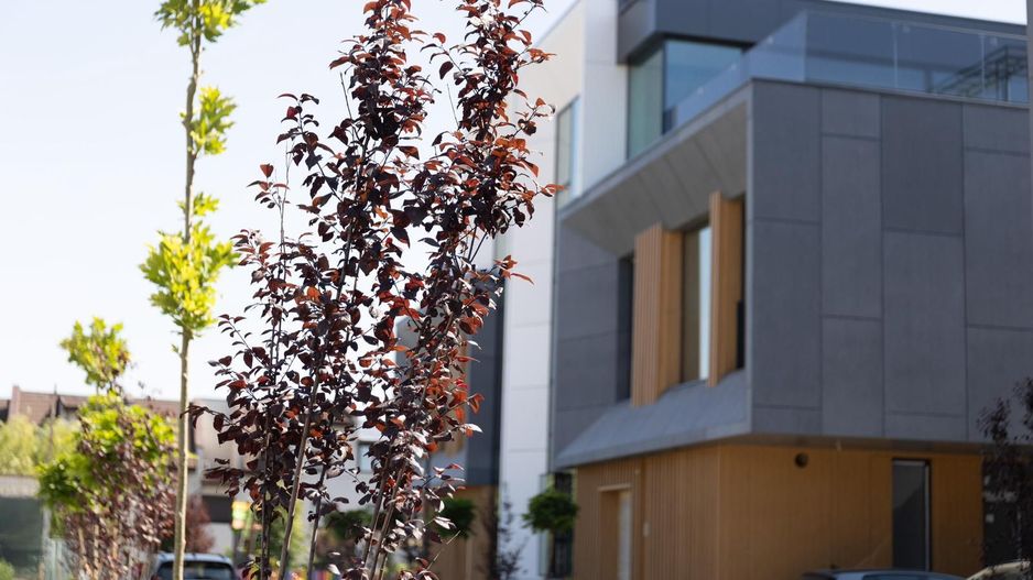 Vila de Lux | Proiect Nou | Pipera | Piscina Incalzita - Poză 23