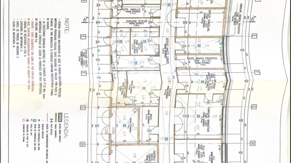 Hala de închiriat | Cristian - Poză 24