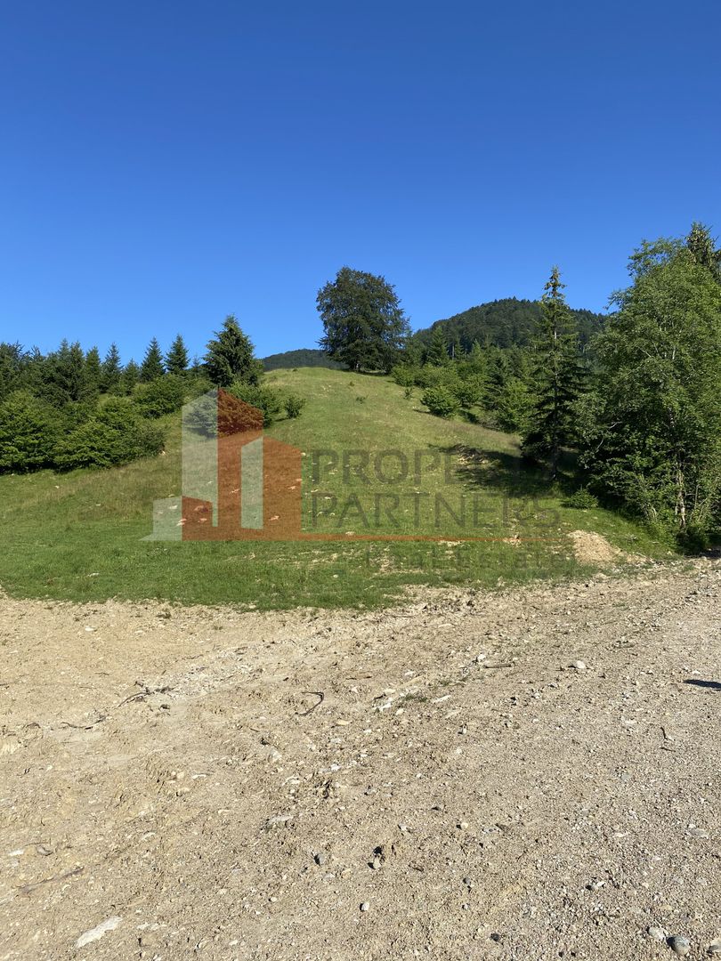Teren 14400 mp la iesire din Rasnov inspre Pârâul Rece-Trei Brazi - Poză 4