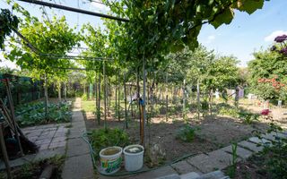 Casa Iosia Barcaului 6 camere - Poză 16