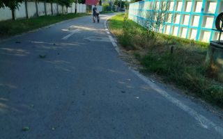 Teren intravilan de vânzare, Ruginoasa, aproape de DN28A - Poză 2