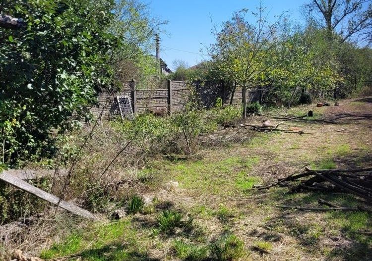 BRASADAS vinde casa in Moftinul Mare. - Poză 3