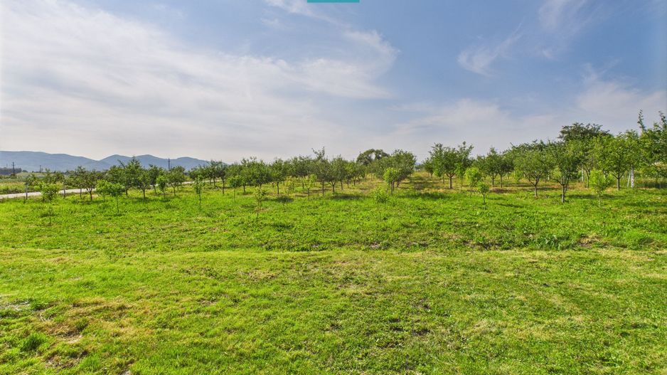 Casă cu teren de 4707 mp în Hălmăgel, județul Arad - Poză 20