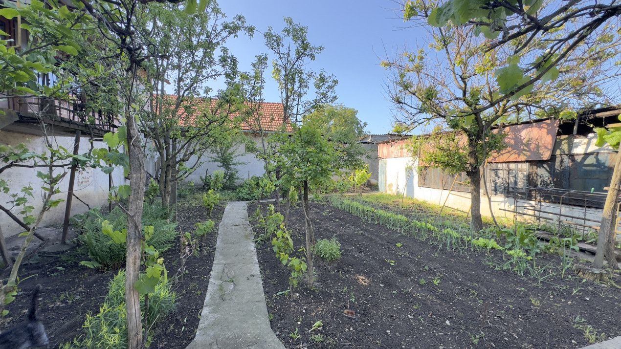 Casă 4 camere, Teren 3.862 mp Str. Traian Nr.99 - Carei - Comision 0% cumpărător - Poză 14