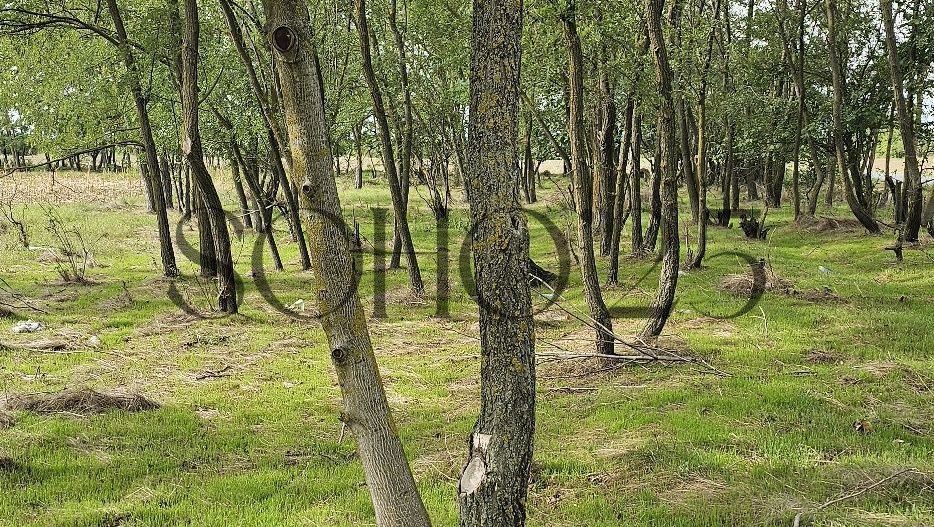 Teren intravilan construibil peisaj de vis - Poză 3