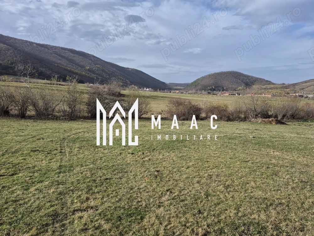 Teren extravilan | Investitie | Orlat - Poză 2