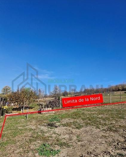 🏡 Teren intravilan 1308 mp Rediu | 9 min (5.8km) Copou / 9 min (5.8km) Pacurari - Poză 3