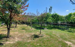 Teren | Intravilan 2.166 Mp | Construcție existenta |  Pădurea Dumbrava - Poză 4