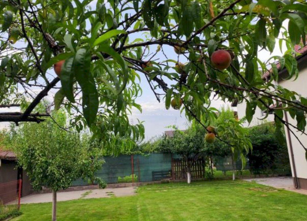 Casa 3 camere Domnesti - Poză 16