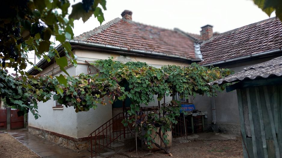 BRASADAS vinde casa 3 cam. zona Unirii teren 550mp. - Poză 3