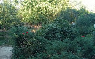 Vânzare teren intravilan Dărăști-Vlașca - Poză 7