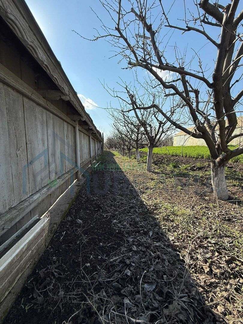 Teren cu seră și vie, Belcești, Iași - Poză 5