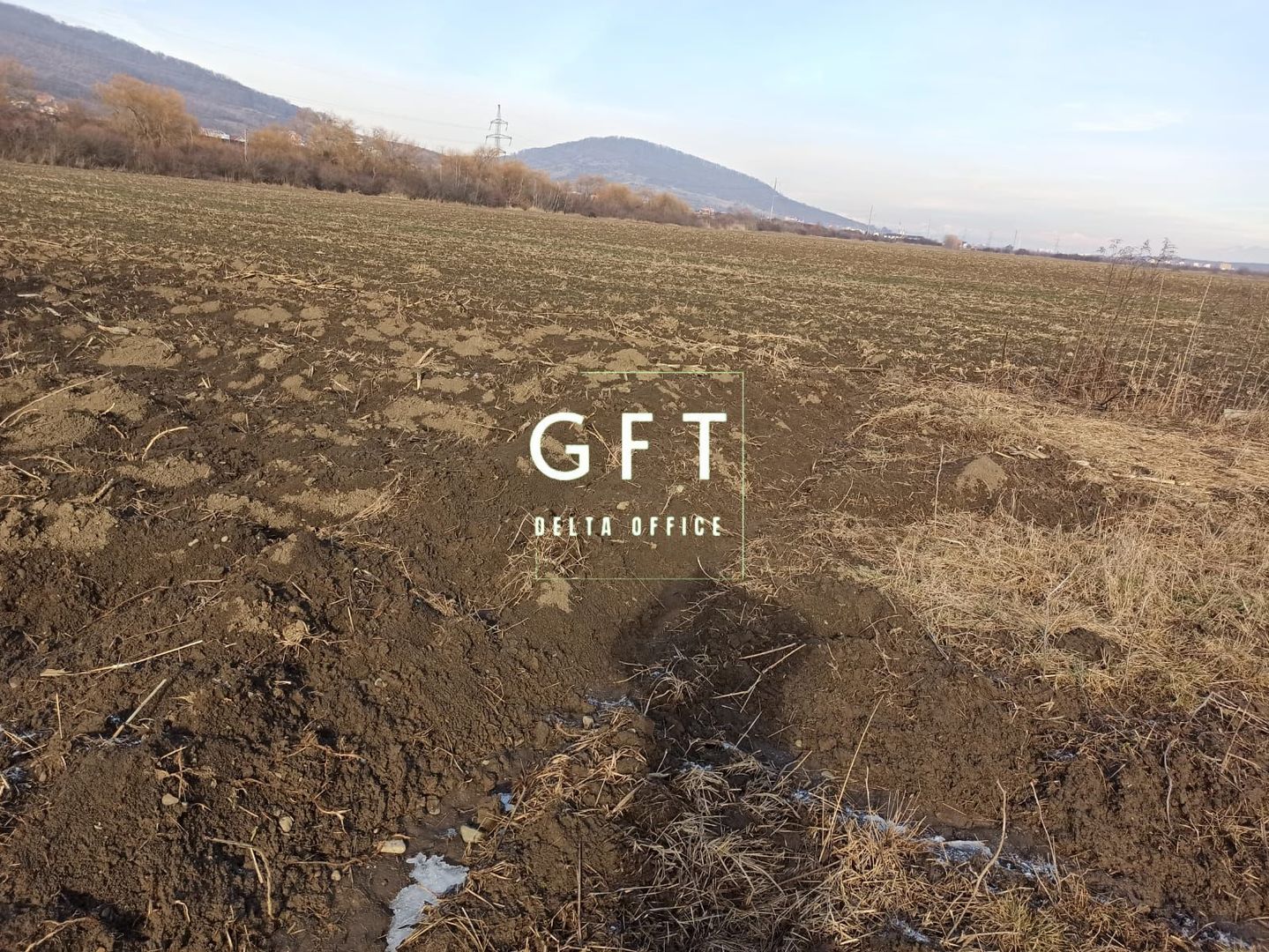 Teren 2906 mp - ideal investitie - Sarata - Poză 2