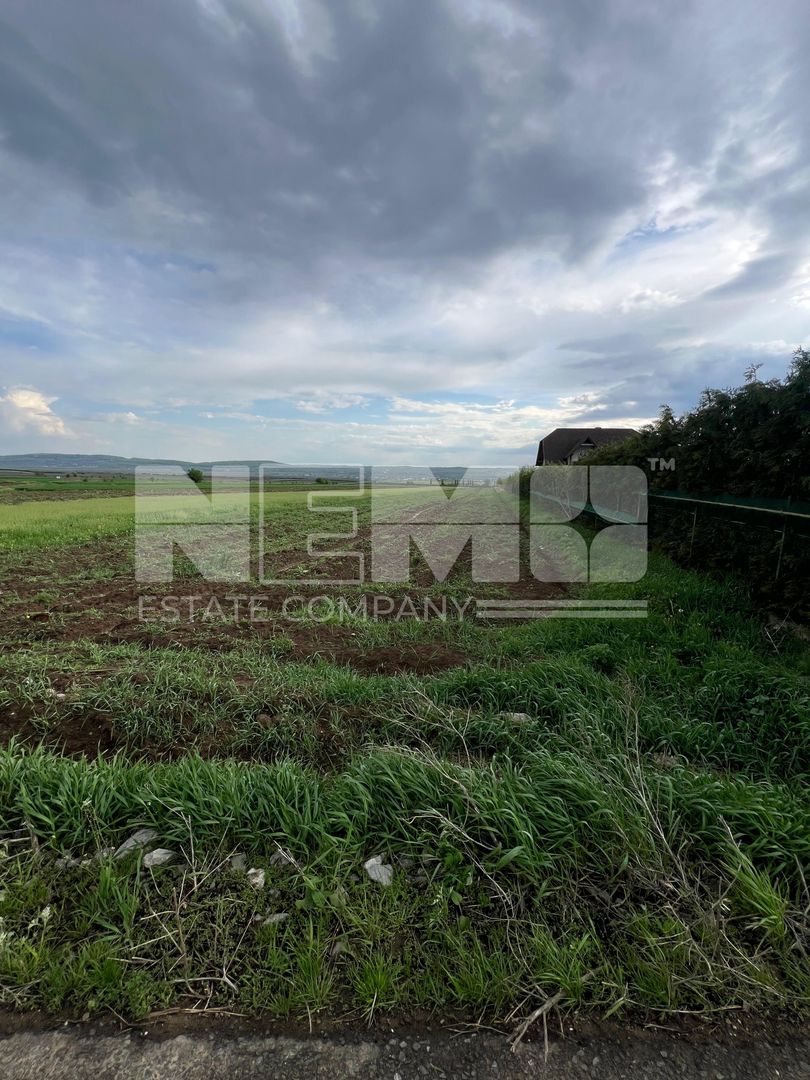 🌟 Teren de Vânzare 20 Ari | Salcea, Suceava | 💥 Preț: €30.000 - Poză 3