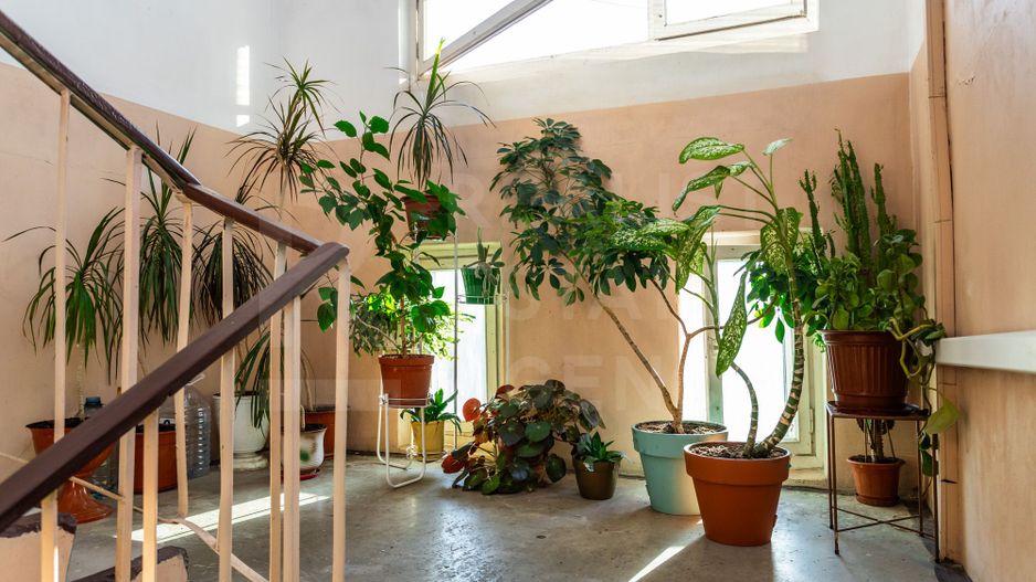 Vânzare, apartament, 4 camere, str. Nicolae Milescu Spătarul, Ciocana - Poză 18