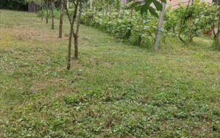 Teren 36 Ari intravilan Zona Strandului - Poză 3