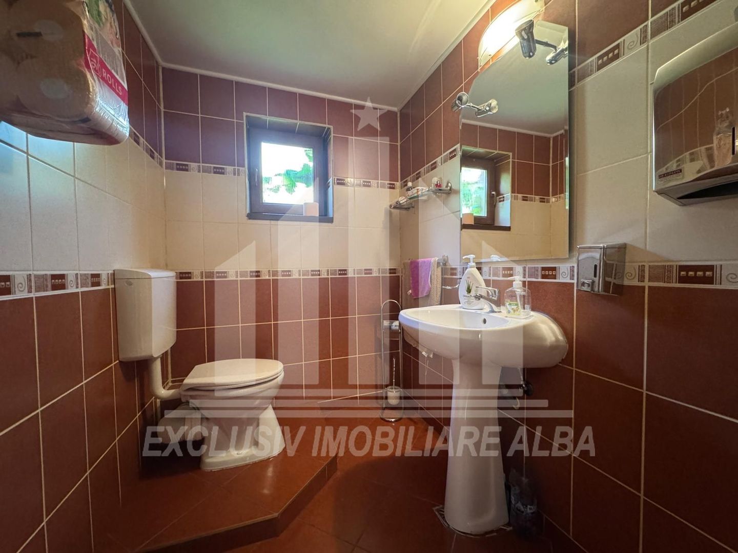 Spatiu de birouri P + 2E de vanzare, Cetate - Poză 11