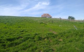 Teren 2500 mp-ideal agricultura/cabane/sera-panorama-Monariu - Poză 4
